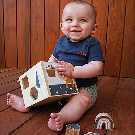 Tryco Wooden Shape Sorter