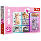 Trefl Puzzle Cute Cats 60 Pièces 4A+