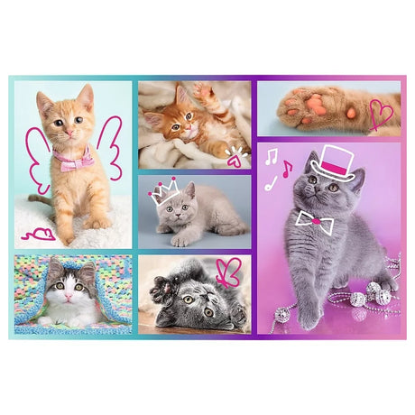 Trefl Puzzle Cute Cats 60 Pièces 4A+