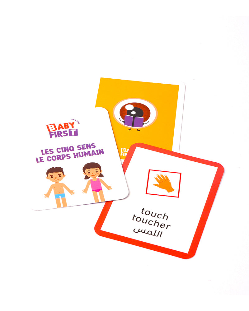 Baby First Cartes - Les Cinq Sens Et Le Corps Humain