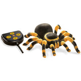 Buki Mygale Radiocommandée – 6A+