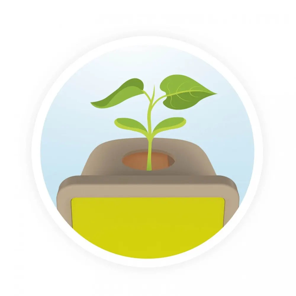 Buki Kit Petites Pousses Découverte des Graines – 5A+