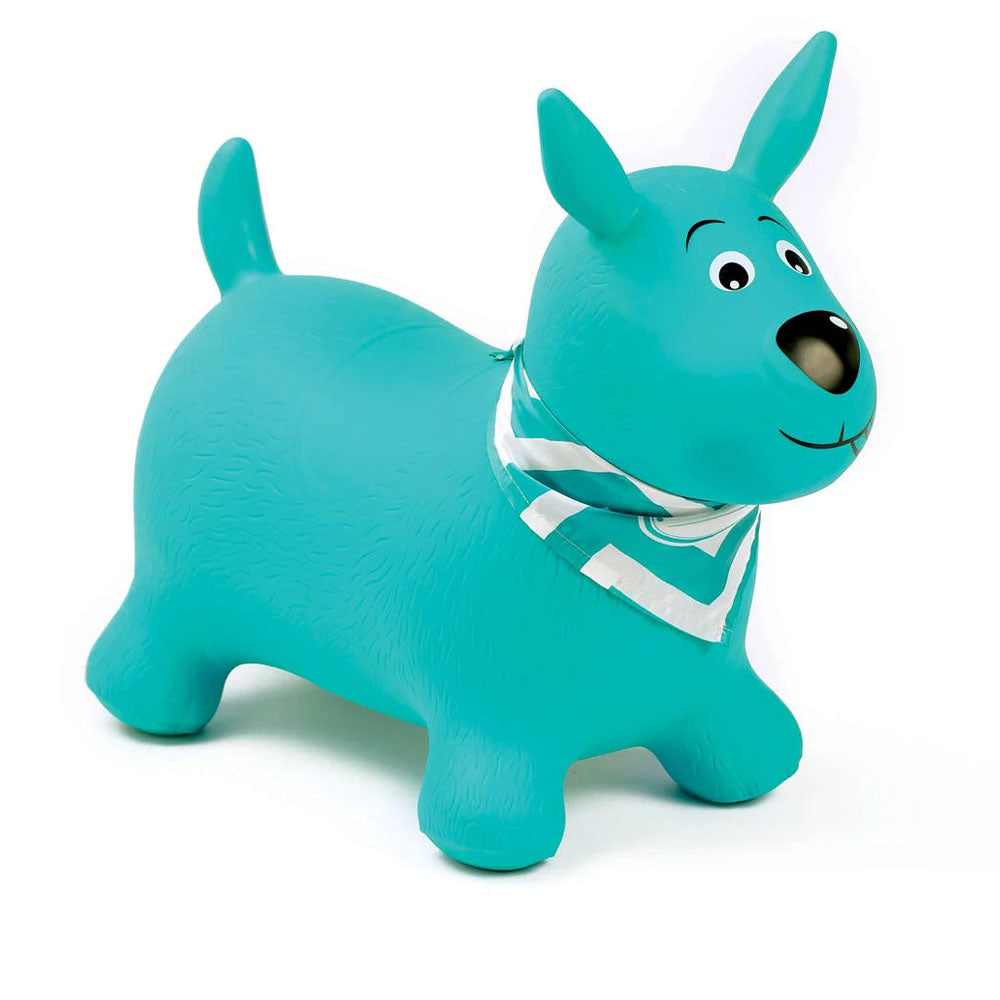 Ludi Mon Chien Sauteur 10M+ - Turquoise