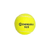 Paquete de 12 Pelotas de Tenis