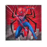 51 Piece Birthday Pack - Spiderman
