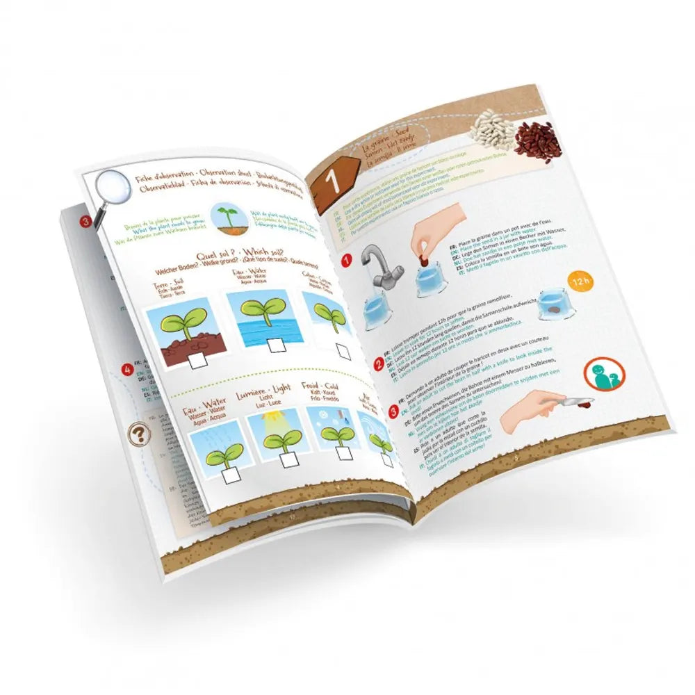 Buki Kit Petites Pousses Découverte des Graines – 5A+