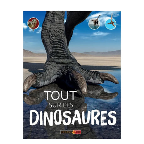 Tout sur les Dinosaures – Rouge et Or