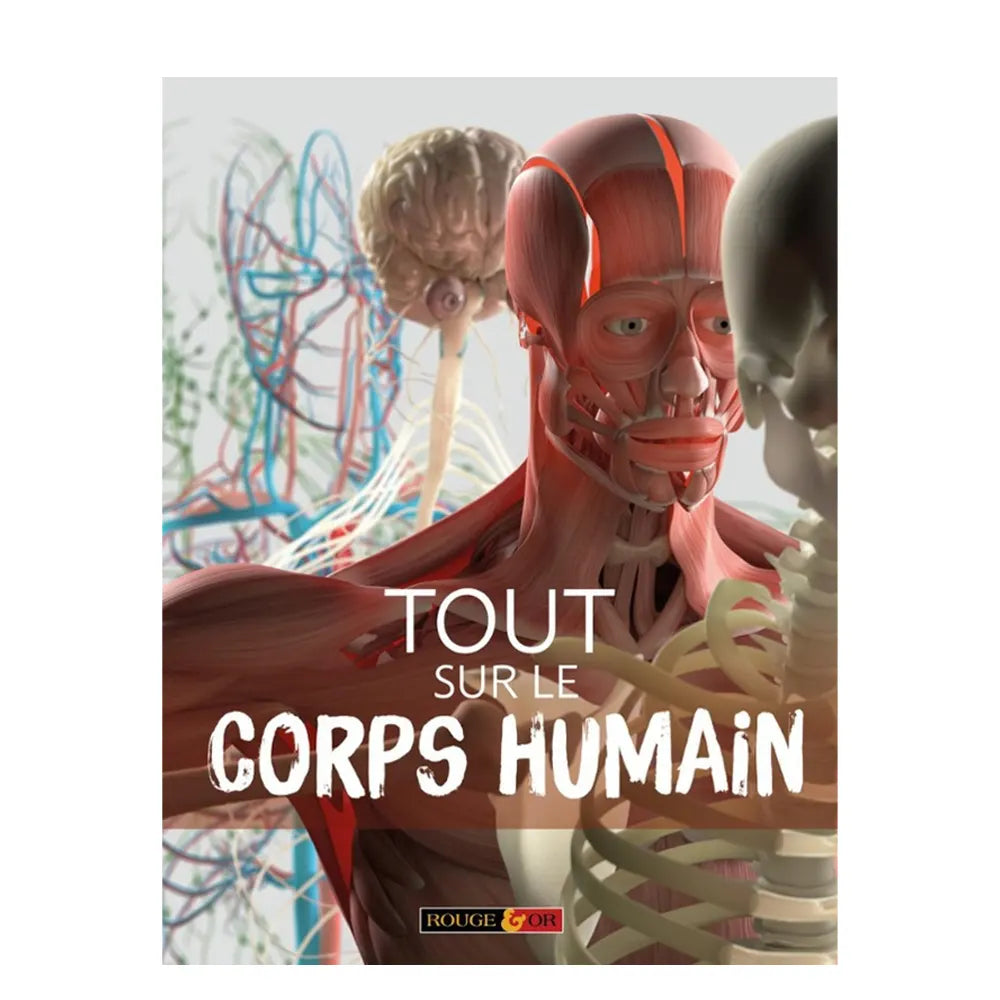 كل ما يتعلق بجسم الإنسان