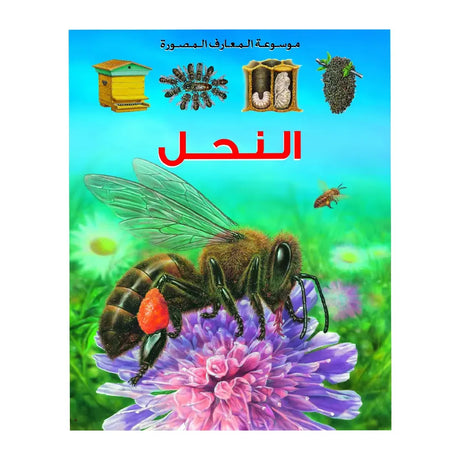 Encyclopédie illustrée des connaissances : Les abeilles - En Arabe