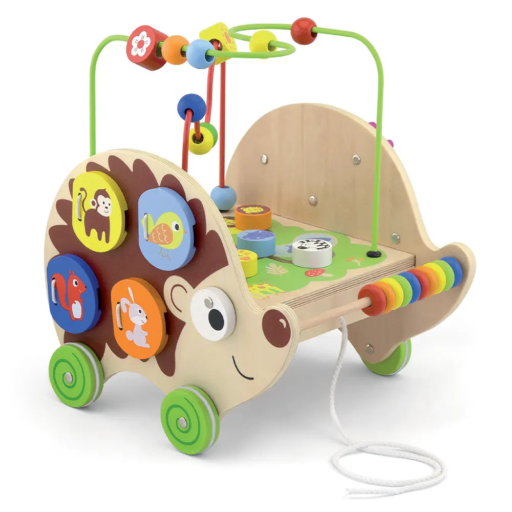 Viga Toys 5-in-1 Pull-Along Activity Hedgehog - 12M+ | Wlidaty Morocco ...