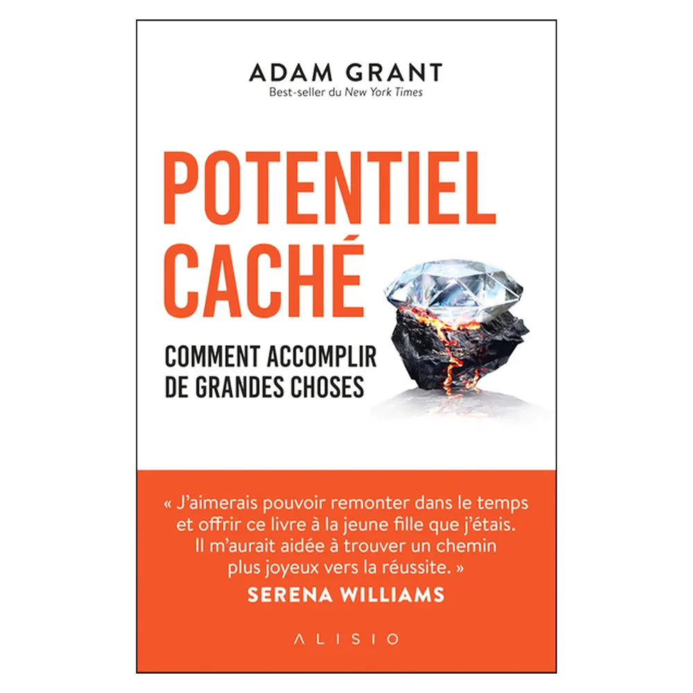 Potentiel Caché – Comment Accomplir de Grandes Choses