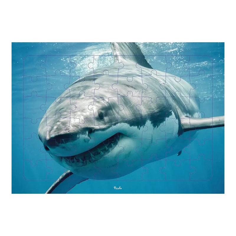 Piccolia Shark Photo Puzzle 48 Pieces - 4Y+
