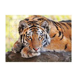 Piccolia Puzzle Photo Tigre 48 Pièces - 4A+