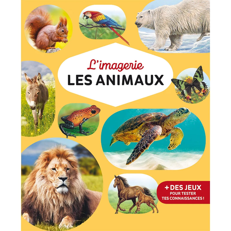 L’IMAGERIE - Imagerie des Animaux