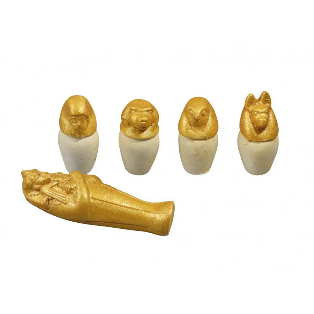 بوكي سر الهرم – +8 سنوات