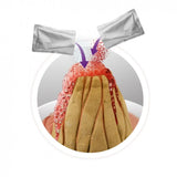 بوكي بركان صغير تجربة ثوران وحفر - +8 سنوات