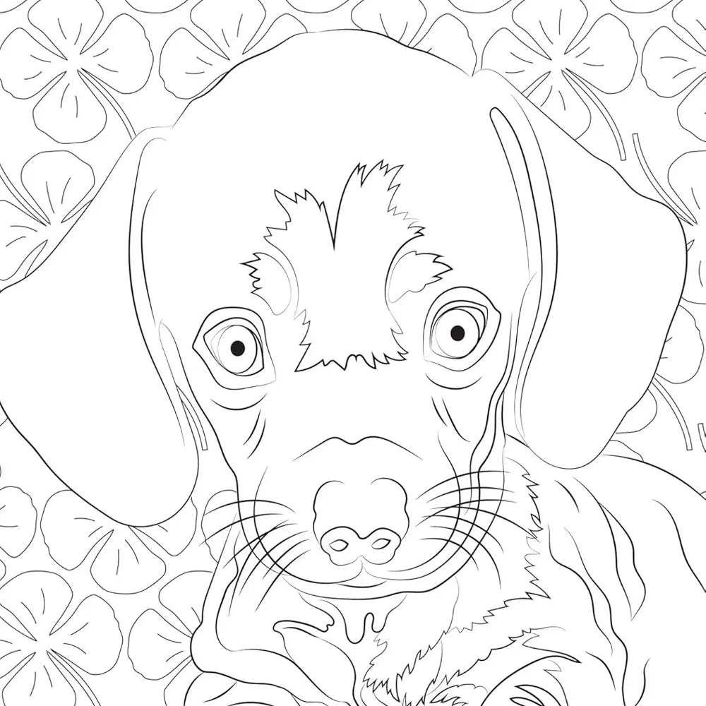Hachette Mini Art Therapy Block – Baby Animals – 50 Coloring Pages