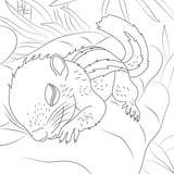 Hachette Mini Art Therapy Block – Baby Animals – 50 Coloring Pages