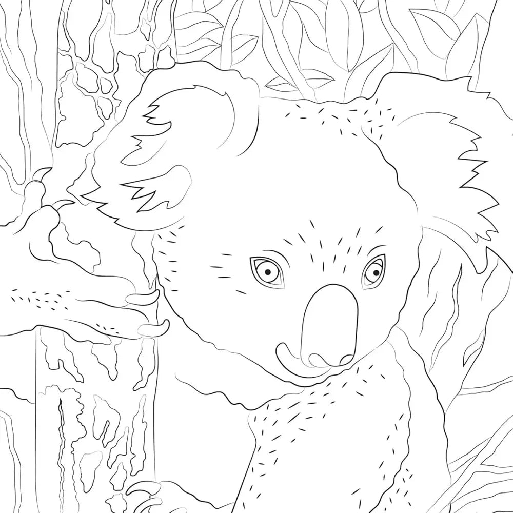 Hachette Mini Art Therapy Block – Baby Animals – 50 Coloring Pages