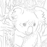 Hachette Mini Art Therapy Block – Baby Animals – 50 Coloring Pages