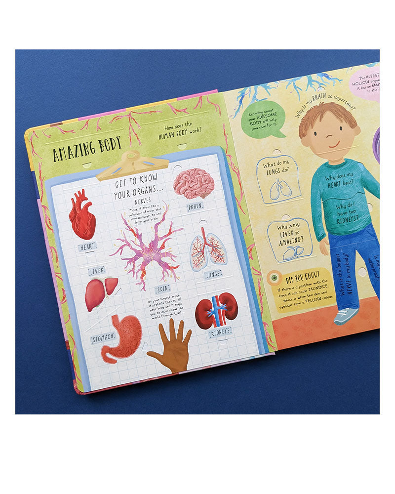 Large Question-And-Answer Flap Book - Human Body