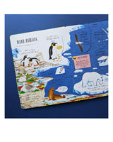 Large Question And Answer Flap Book-Animals