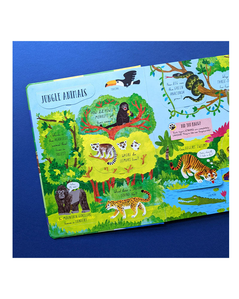 Large Question And Answer Flap Book-Animals