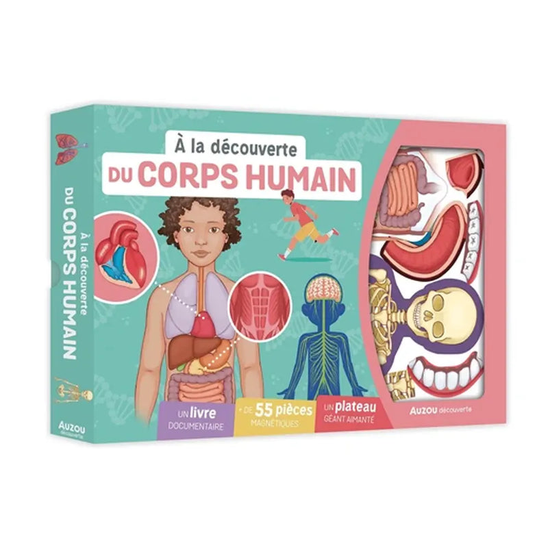 Auzou Discovering the Human Body - Interactive Set
