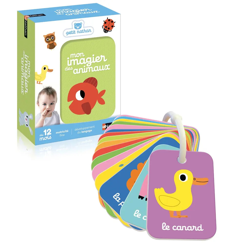 My Picture Book of Animals – 12 M+