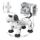 Fun Robot Dog With Remote Control