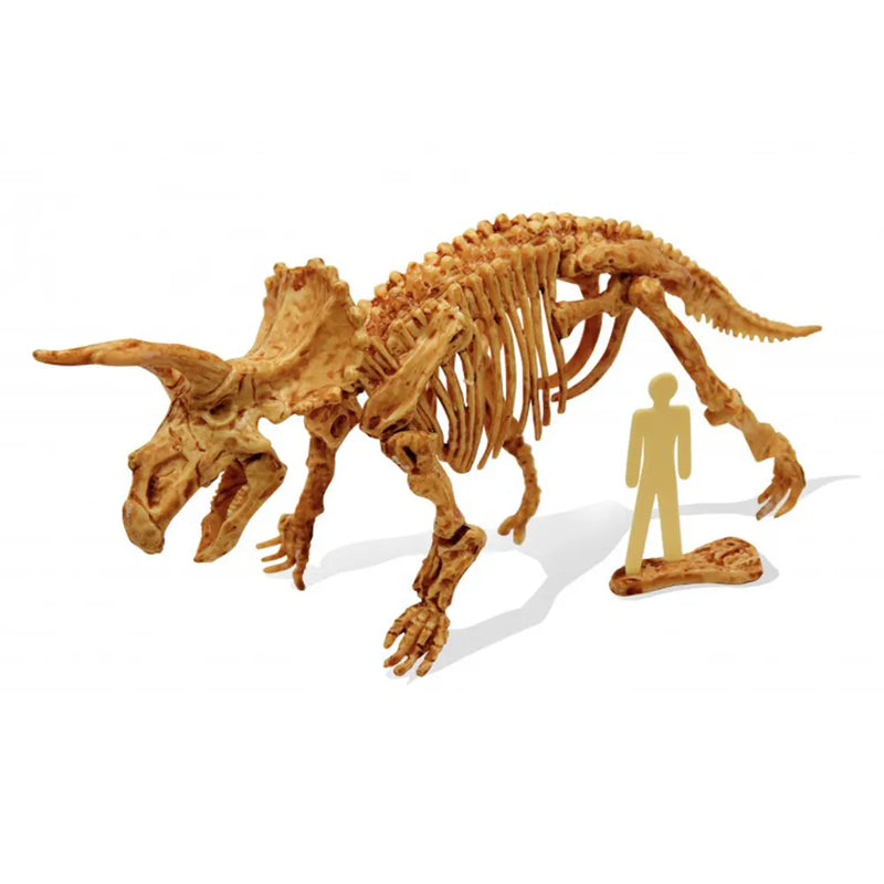 Buki Kit de Fouille Tricératops 8A+