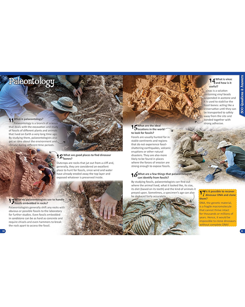 500 Questions & Answers - Dinosuars