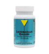 Vit'All+ Lactobacillus gasseri 100 mg 60 gélules – boîte