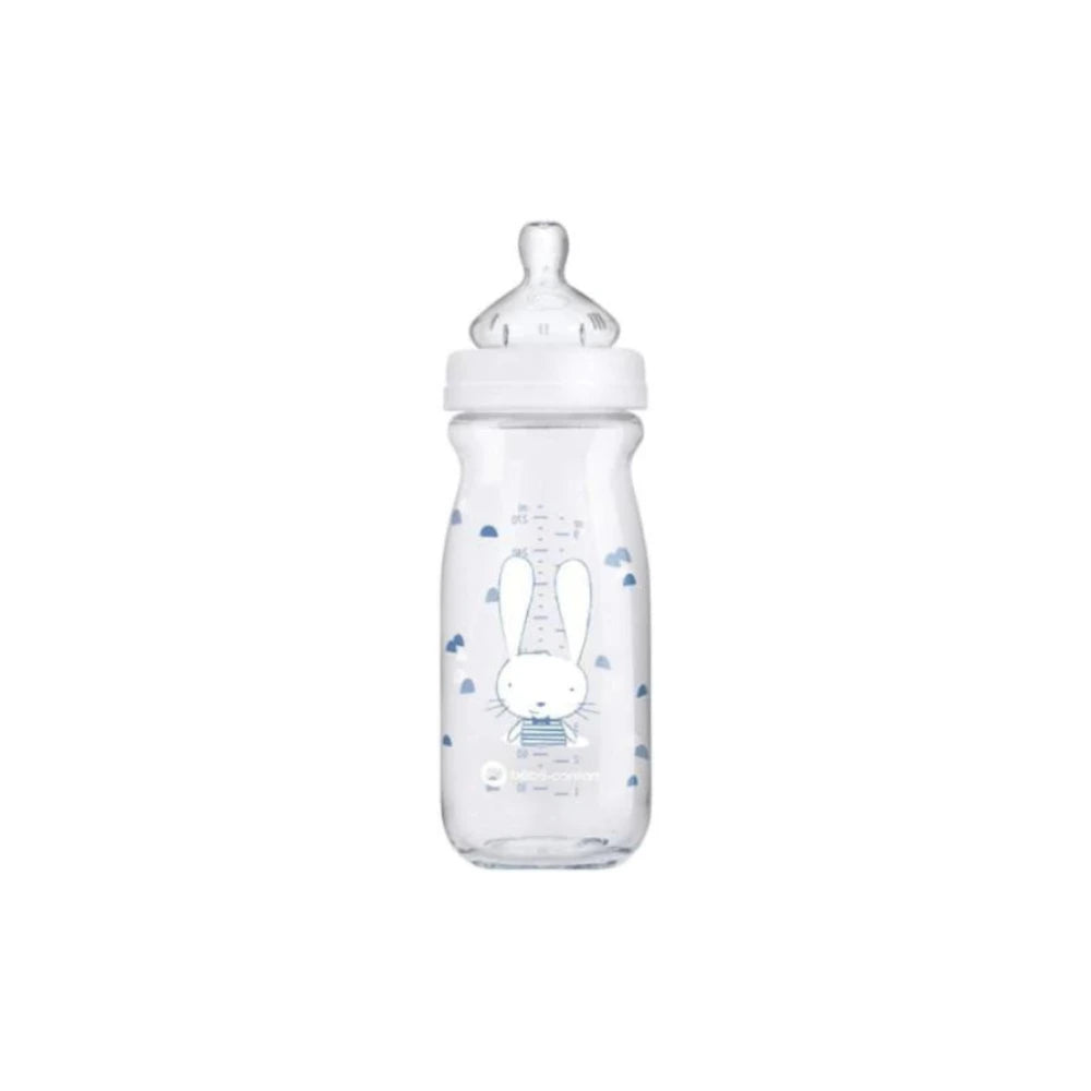 Biberon en verre Bébé Confort Emotion 270 ml motif Friends