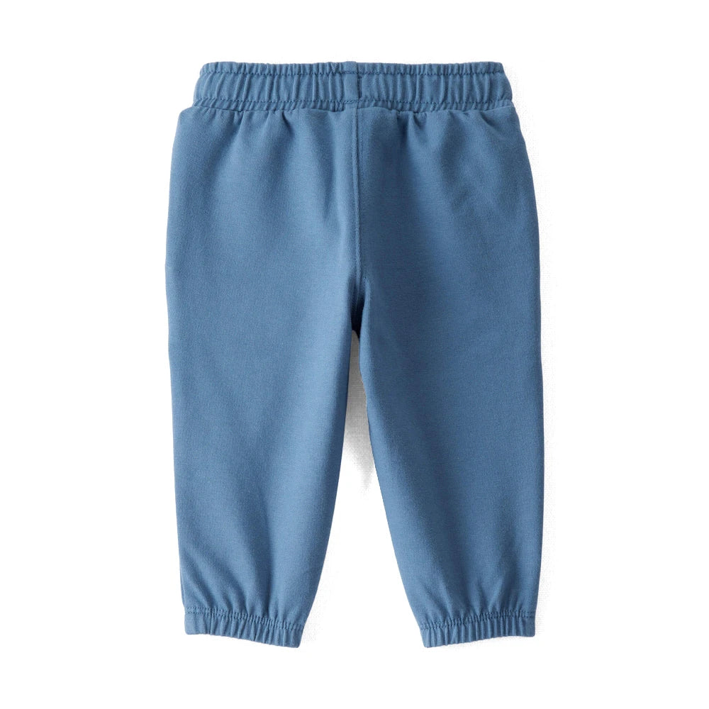 Lot de 2 Pantalons en Coton Bio Bébé Garçon Little Planet - Marine & Gris