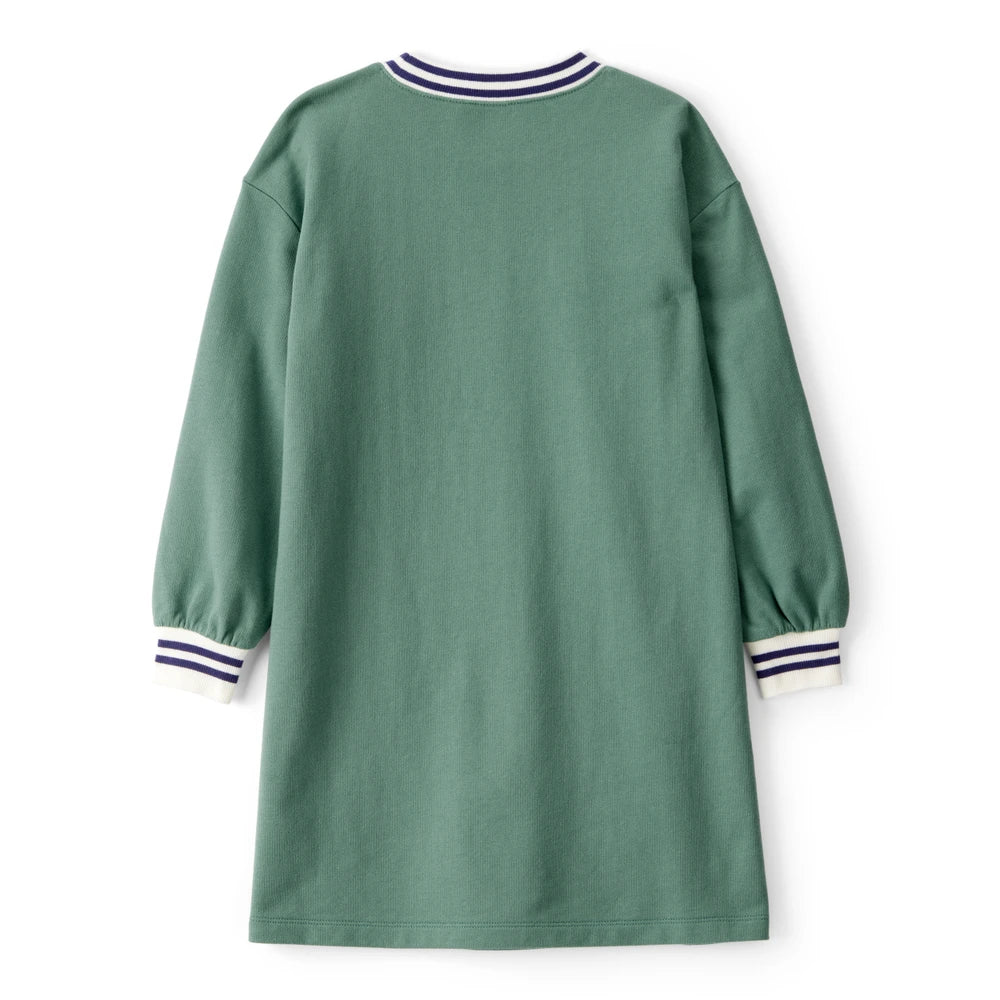 Robe à Manches Longues Paris Fille Carter's - Vert