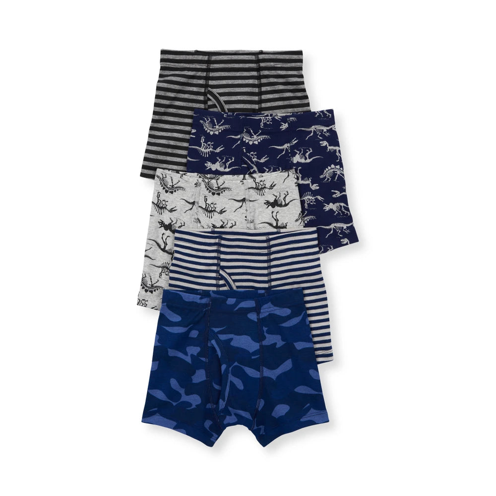 Lot de 5 Boxers Dinosaures & Rayures Garçon Carter's - Marine & Gris