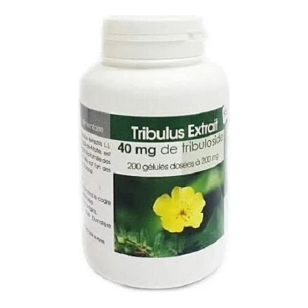 Pot GPH Diffusion Tribulus Extrait 100 gélules