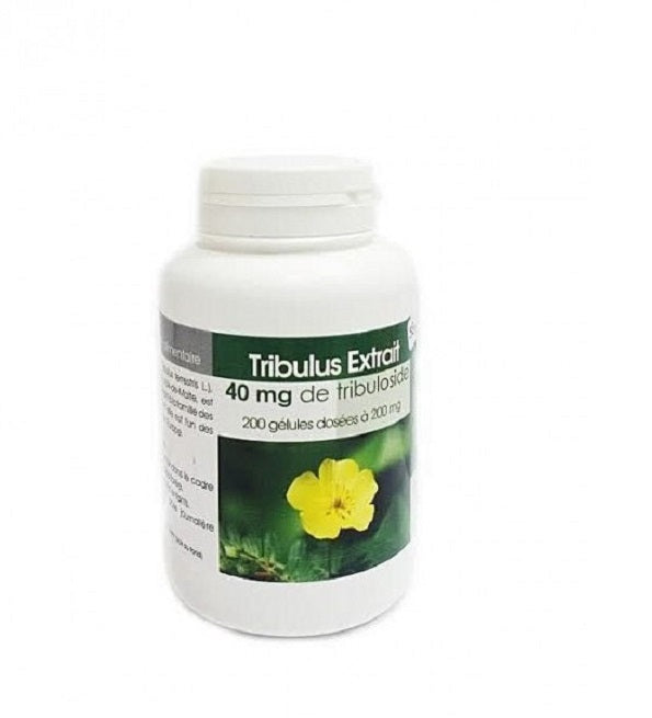 Pot GPH Diffusion Tribulus Extrait 100 gélules