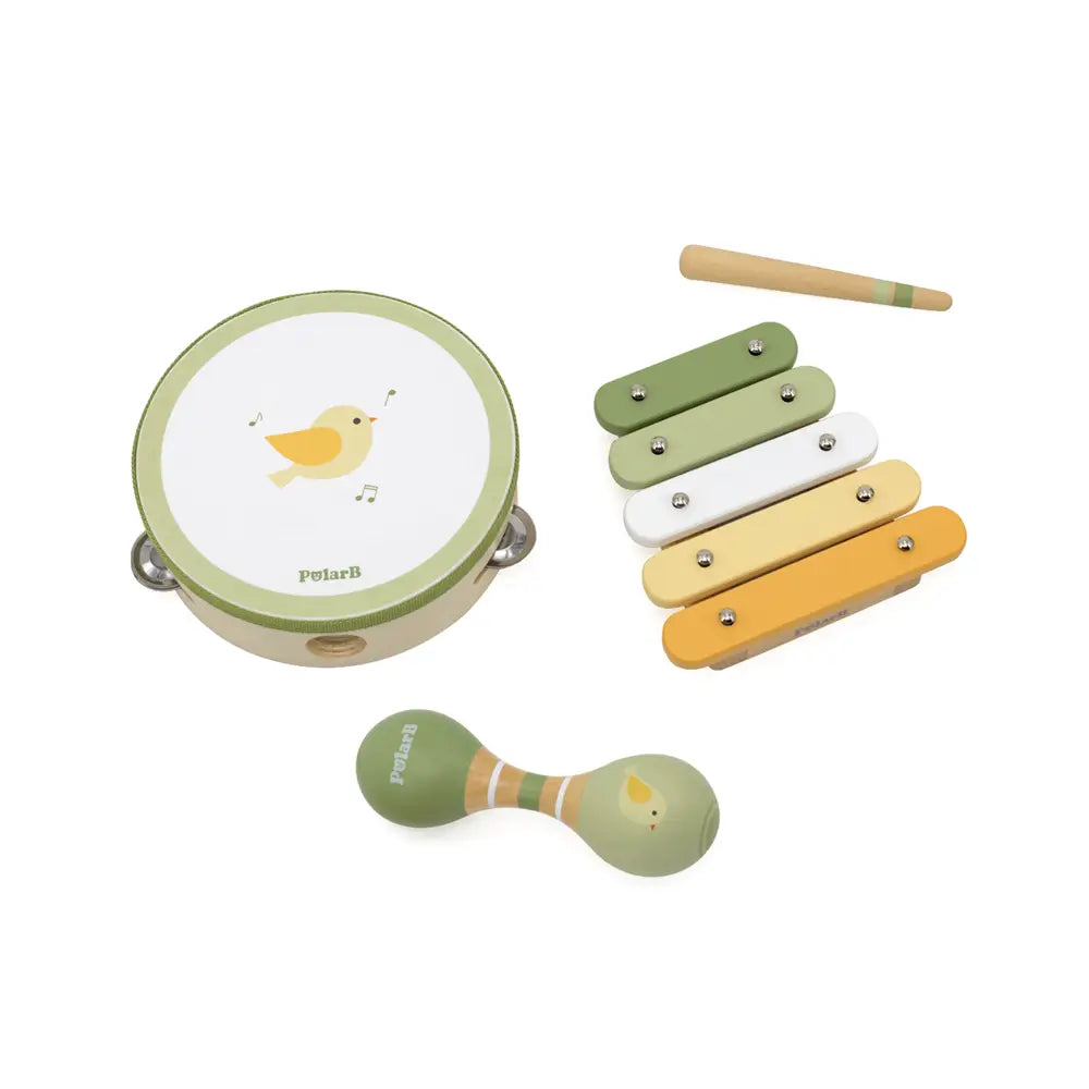 Viga Toys PolarB Set 3 Instruments de Musique Oiseau 12M+ - Vert