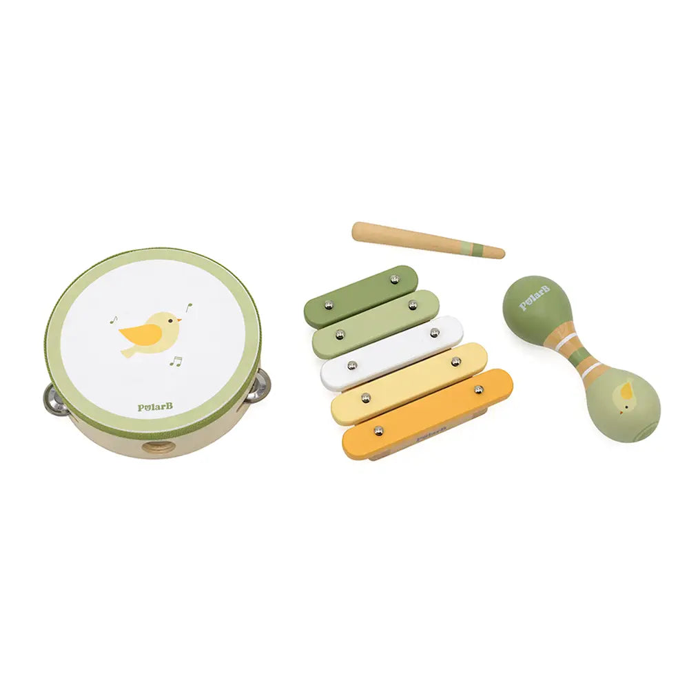 Viga Toys PolarB 3 Musical Instruments Set Bird 12M+ - Green