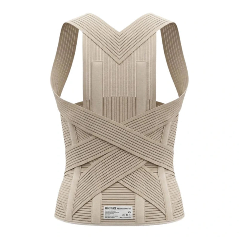 Point Dorso-Lumbar Corset With Belt Standard Reference 272