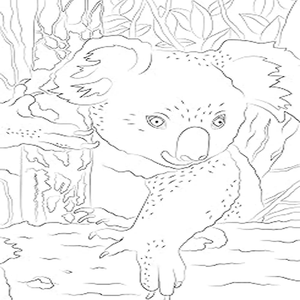 Hachette Mini-Bloc d'Art-Thérapie  Bébés Animaux  – 50 Coloriages