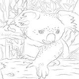 Hachette Mini-Bloc d'Art-Thérapie  Bébés Animaux  – 50 Coloriages