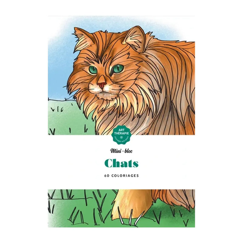 Hachette Chats – 60 Coloriages