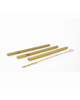 Set of 3 bamboo straws and brush