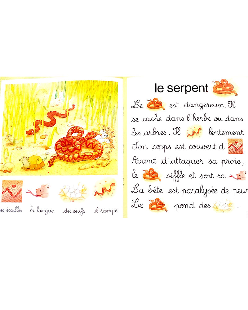 Jeux de mots - Dans la savane