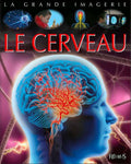 La grande imagerie - Le cerveau