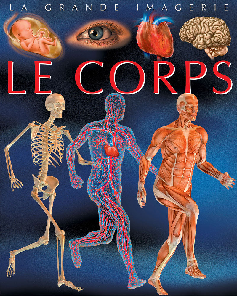 La grande imagerie - Le corps