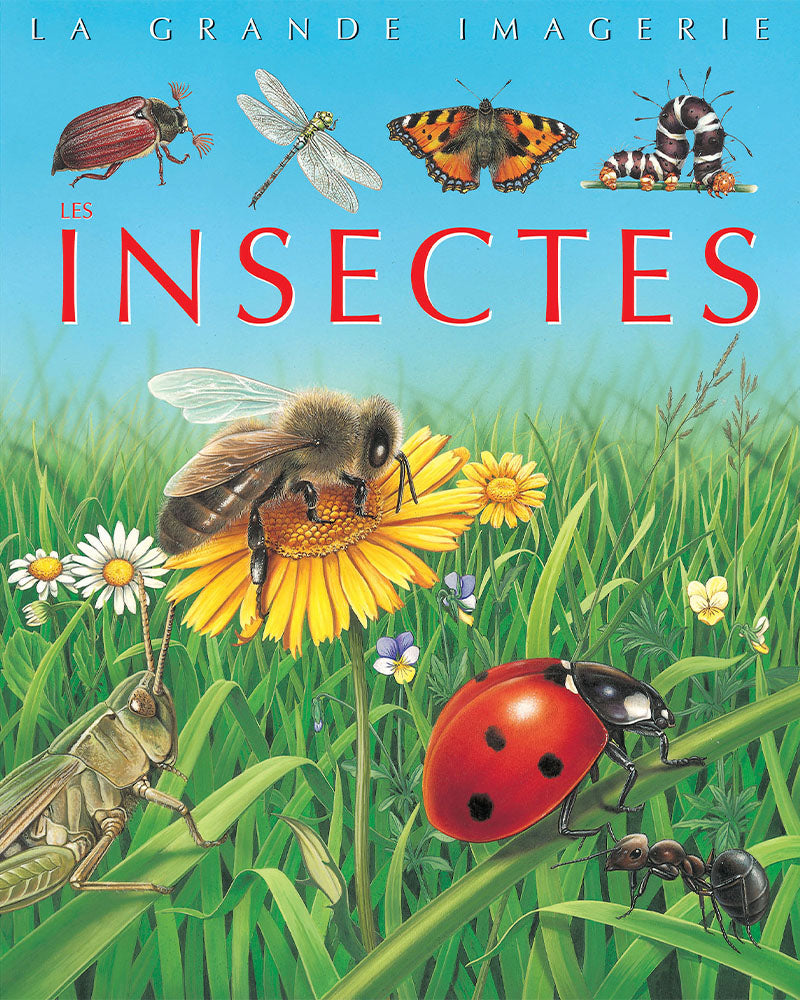 La grande imagerie - Insectes